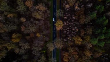 Sonbahar ormanını geçen düz bir yolda giden arabaların hava manzarası. İHA kamerası aşağıya bakıyor 