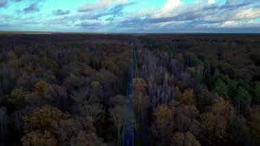 Brandenburg Almanya 'sında bir sonbahar ormanı boyunca giden arabaların hava görüntüsü. panorama genel görünüm dronu 