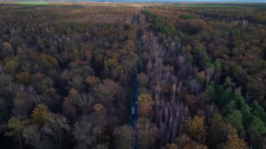 Brandenburg Almanya 'sında bir sonbahar ormanı boyunca giden arabaların hava görüntüsü. uçuş üstü insansız hava aracı 
