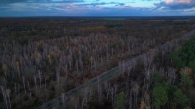 Brandenburg Almanya 'sında bir sonbahar ormanı boyunca giden arabaların hava görüntüsü. Yukarıdan insansız hava aracı görüntüleri 