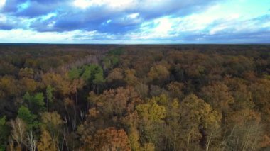 Sonbahar mevsiminde uçsuz bucaksız ormanlık arazinin nefes kesici manzarasını yakalayan drone, dramatik bir gökyüzü altında canlı yeşillikler barındırıyor. doly sağ drone 