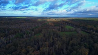 Sonbahar mevsiminde uçsuz bucaksız ormanlık arazinin nefes kesici manzarasını yakalayan drone, dramatik bir gökyüzü altında canlı yeşillikler barındırıyor. panorama genel görünüm dronu 