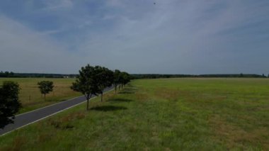 Yol, ağaçlar ve ekilmiş tarlaları olan kırsal bir arazinin havadan görünüşü. Ters İHA uçuşu 