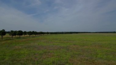 Yol, ağaçlar ve ekilmiş tarlaları olan kırsal bir arazinin havadan görünüşü. Dolly sol İHA 