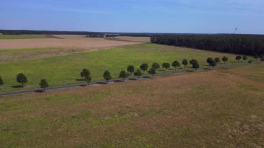 Yol, ağaçlar ve ekilmiş tarlaları olan kırsal bir arazinin havadan görünüşü. panorama yörünge dronu 