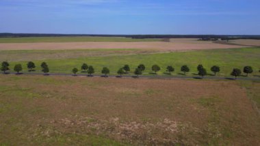 Yol, ağaçlar ve ekilmiş tarlaları olan kırsal bir arazinin havadan görünüşü. doly sağ drone 