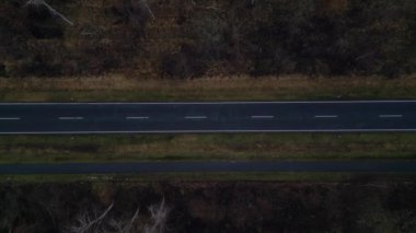 Karanlık bir asfalt yolda, gizemli bir ormanı geçen yalnız beyaz bir arabanın hava görüntüsü. dikey kuş bakışı dron 