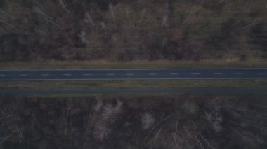 Karanlık bir asfalt yolda, gizemli bir ormanı geçen yalnız beyaz bir arabanın hava görüntüsü. İHA kamerası aşağıya bakıyor 