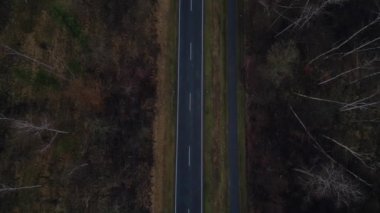 Karanlık bir asfalt yolda, gizemli bir ormanı geçen yalnız beyaz bir arabanın hava görüntüsü. Drone 'u yukarı eğ 