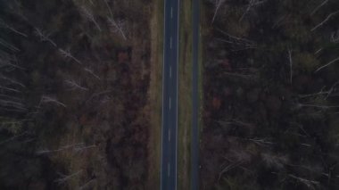 Karanlık bir asfalt yolda, gizemli bir ormanı geçen yalnız beyaz bir arabanın hava görüntüsü. Drone 'u yukarı eğ 