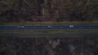 Karanlık bir asfalt yolda, gizemli bir ormanı geçen yalnız beyaz bir arabanın hava görüntüsü. dikey kuş bakışı dron 