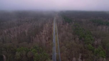 Kışın sisli bir ormandan geçen düz bir yolun havadan görünüşü. hız rampası hiper hareket zaman aşımı 
