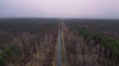 Kışın sisli bir ormandan geçen düz bir yolun havadan görünüşü. hız rampası hiper hareket zaman aşımı 