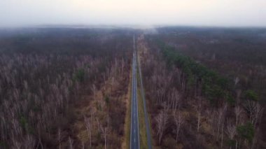 Kışın sisli bir ormandan geçen düz bir yolun havadan görünüşü. hız rampası hiper hareket zaman aşımı 