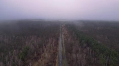 Kışın sisli bir ormandan geçen düz bir yolun havadan görünüşü. hız rampası hiper hareket zaman aşımı 