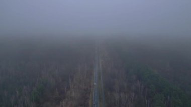 Kışın sisli bir ormandan geçen düz bir yolun havadan görünüşü. İHA alçalıyor 