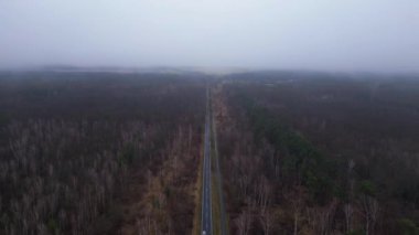 Kışın sisli bir ormandan geçen düz bir yolun havadan görünüşü. İHA alçalıyor 