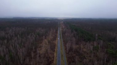 Kışın sisli bir ormandan geçen düz bir yolun havadan görünüşü. Ters İHA uçuşu 