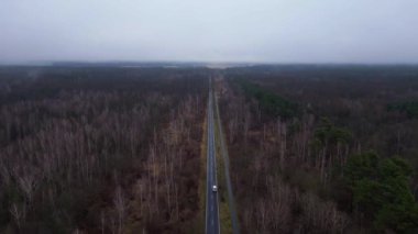 Kışın sisli bir ormandan geçen düz bir yolun havadan görünüşü. Takip uçuş dronu 