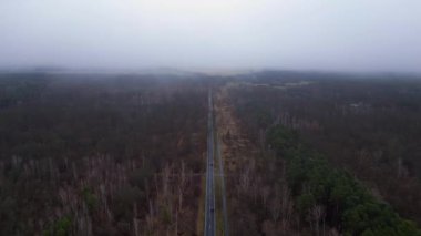 Kışın sisli bir ormandan geçen düz bir yolun havadan görünüşü. İticileri ileri çalıştır 