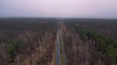 Kışın sisli bir ormandan geçen düz bir yolun havadan görünüşü. Ters İHA uçuşu 