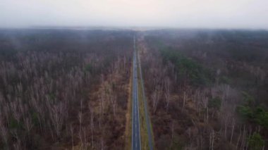Kışın sisli bir ormandan geçen düz bir yolun havadan görünüşü. uçuş üstü insansız hava aracı 
