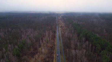 Kışın sisli bir ormandan geçen düz bir yolun havadan görünüşü. Ters İHA uçuşu 