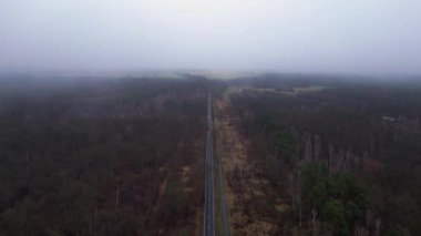 Kışın sisli bir ormandan geçen düz bir yolun havadan görünüşü. uçuş üstü insansız hava aracı 