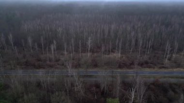 Karanlık ve kasvetli bir atmosferde sisli bir ormanın yakınındaki yolda araba sürüyordu. Ters İHA uçuşu 