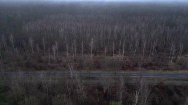 Karanlık ve kasvetli bir atmosferde sisli bir ormanın yakınındaki yolda araba sürüyordu. Yukarıdan insansız hava aracı görüntüleri 