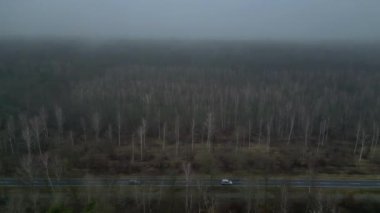 Karanlık ve kasvetli bir atmosferde sisli bir ormanın yakınındaki yolda araba sürüyordu. Takip uçuş dronu 