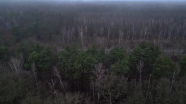 Karanlık ve kasvetli bir atmosferde sisli bir ormanın yakınındaki yolda araba sürüyordu. Ters İHA uçuşu 