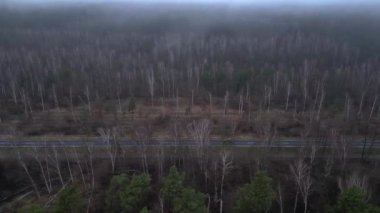 Karanlık ve kasvetli bir atmosferde sisli bir ormanın yakınındaki yolda araba sürüyordu. panorama genel görünüm dronu 