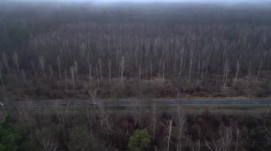 Karanlık ve kasvetli bir atmosferde sisli bir ormanın yakınındaki yolda araba sürüyordu. Yukarıdan insansız hava aracı görüntüleri 