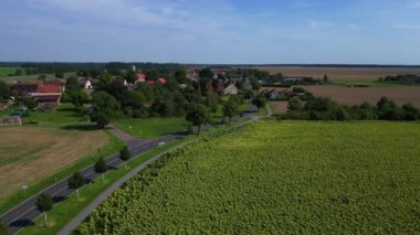 Almanya 'nın Brandenburg kentinde güneşli bir yaz gününde geniş tarım sahalarının ortasına kurulmuş küçük bir köy olan Tarmow' un Idyllic manzarası. İHA alçalıyor 