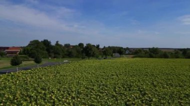 Almanya 'nın Brandenburg kentinde güneşli bir yaz gününde geniş tarım sahalarının ortasına kurulmuş küçük bir köy olan Tarmow' un Idyllic manzarası. İticileri ileri çalıştır 