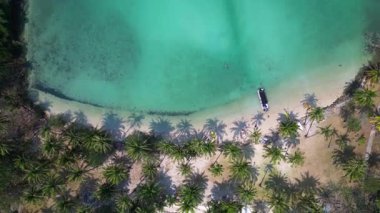 Tropik bir adanın havadan görünüşü, palmiye ağaçları ve turkuaz okyanus suyunda ahşap iskele. Drone 'u yukarı eğ 