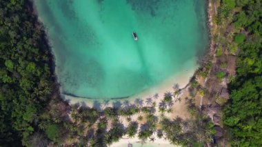 Tropik bir adanın havadan görünüşü, palmiye ağaçları ve turkuaz okyanus suyunda ahşap iskele. Yukarıdan insansız hava aracı görüntüleri 
