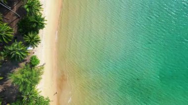 Kamboçya 'daki Koh Rong adasında el değmemiş beyaz bir kumsal sahil kenarındaki palmiye ağaçlarının turkuaz suyla buluştuğu hava manzarası. İHA kamerası aşağıya bakıyor 