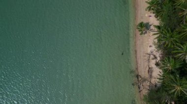 Tayland 'da Koh Mak' ta Ao Soun Yai Sahili 'ne komşu palmiye ağaçları. Turkuaz suyla. Drone 'u yukarı eğ 