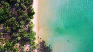 Kamboçya 'daki Koh Rong adasında el değmemiş beyaz bir kumsal sahil kenarındaki palmiye ağaçlarının turkuaz suyla buluştuğu hava manzarası. Yukarıdan aşağıya doğru uçur 