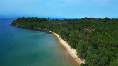 Kamboçya 'daki Koh Rong' da turkuaz suyu ve yeşil ormanlı ıssız bir sahil manzarası. statik üç ayaklı insansız hava aracı 