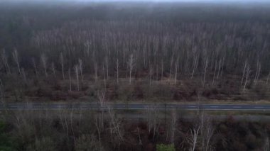 Karanlık ve kasvetli bir atmosferde sisli bir ormanın yakınındaki yolda araba sürüyordu. Ters İHA uçuşu 