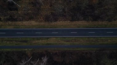 Karanlık bir asfalt yolda, gizemli bir ormanı geçen yalnız beyaz bir arabanın hava görüntüsü. dikey kuş bakışı dron 