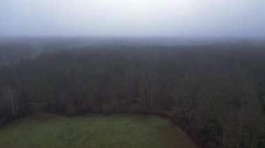 Demiryolu manzarası bulutlu gökyüzü altındaki büyük ormanı geçerek karamsar ve atmosferik manzaralar yaratıyor. Yukarıdan insansız hava aracı görüntüleri 