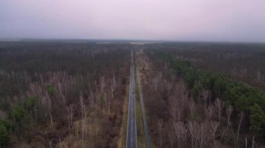 Kışın sisli bir ormandan geçen düz bir yolun havadan görünüşü. hız rampası hiper hareket zaman aşımı 