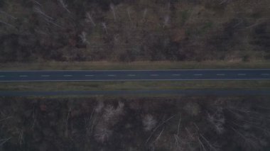 Karanlık bir asfalt yolda, gizemli bir ormanı geçen yalnız beyaz bir arabanın hava görüntüsü. İHA kamerası aşağıya bakıyor 