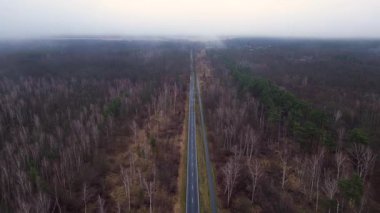 Kışın sisli bir ormandan geçen düz bir yolun havadan görünüşü. hız rampası hiper hareket zaman aşımı 