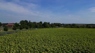 Almanya 'nın Brandenburg kentinde güneşli bir yaz gününde geniş tarım sahalarının ortasına kurulmuş küçük bir köy olan Tarmow' un Idyllic manzarası. hız rampası hiper hareket zaman aşımı 