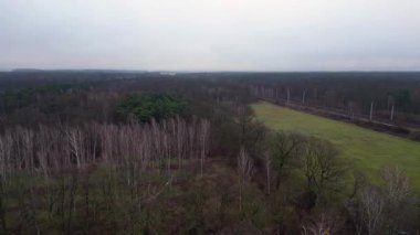 Demiryolu manzarası bulutlu gökyüzü altındaki büyük ormanı geçerek karamsar ve atmosferik manzaralar yaratıyor. panorama genel görünüm dronu 